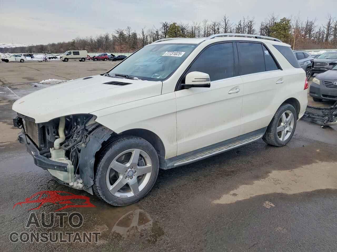 MERCEDES-BENZ M-CLASS 2013 - 4JGDA7DB0DA181504