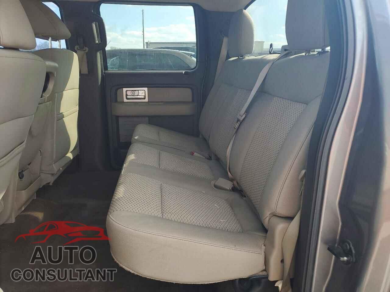 FORD F-150 2010 - 1FTEW1C80AFD30408
