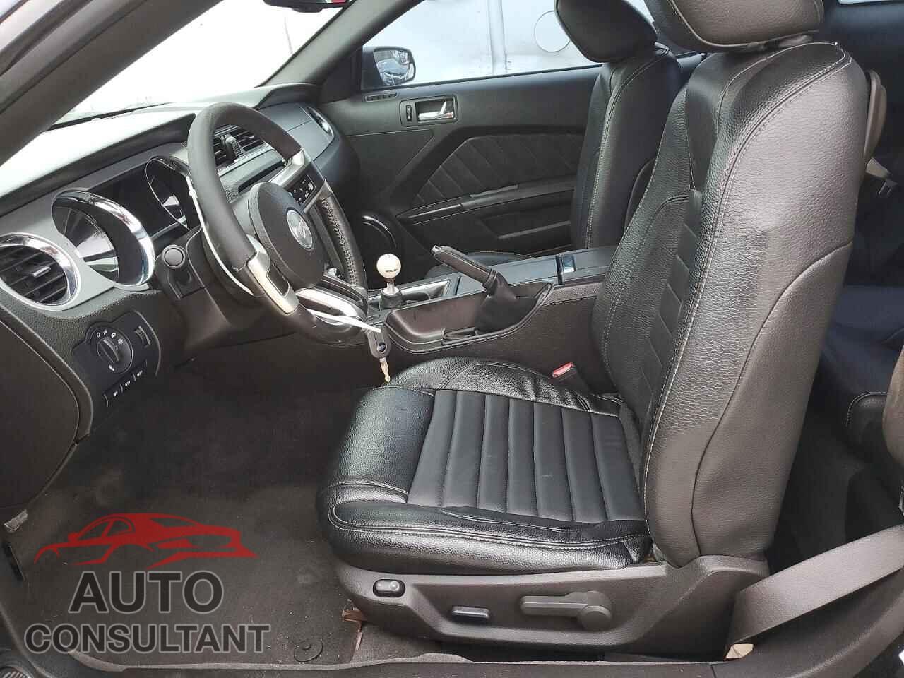 FORD MUSTANG 2011 - 1ZVBP8CF2B5138547