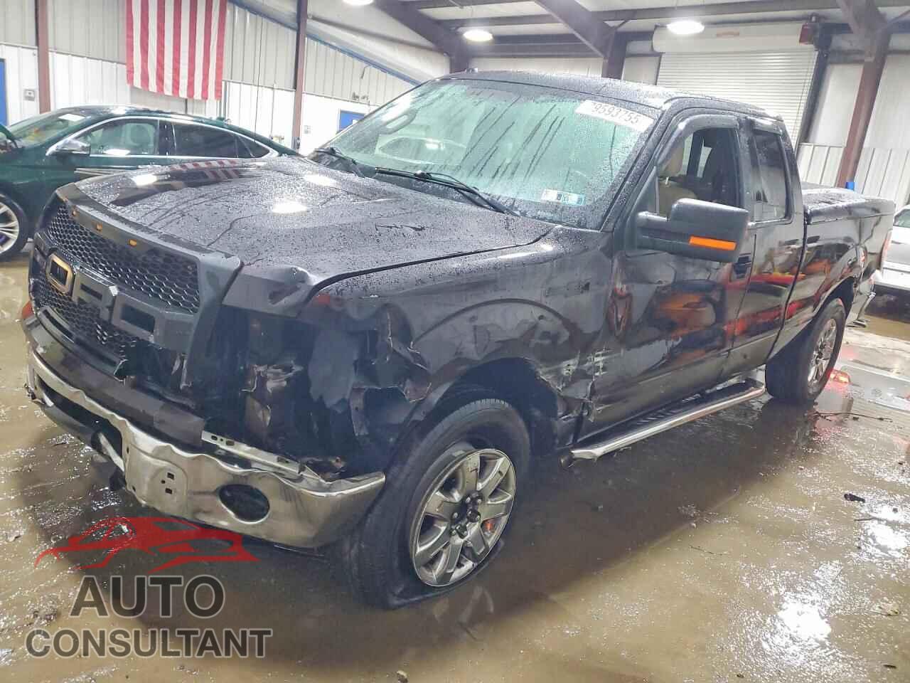 FORD F150 2013 - 1FTFX1EF3DFD79328