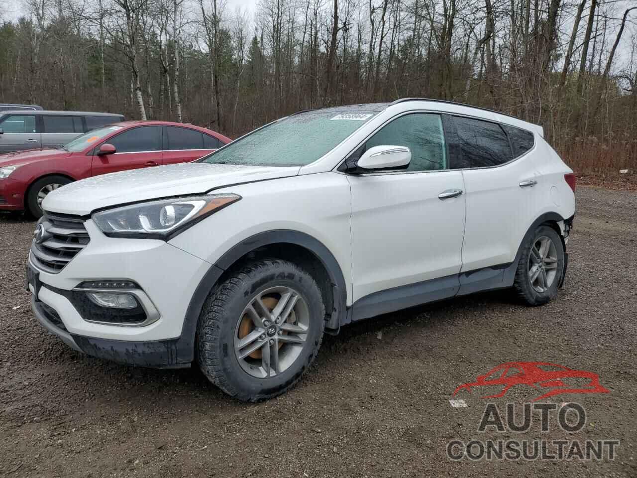 HYUNDAI SANTA FE 2017 - 5XYZUDLB9HG496406