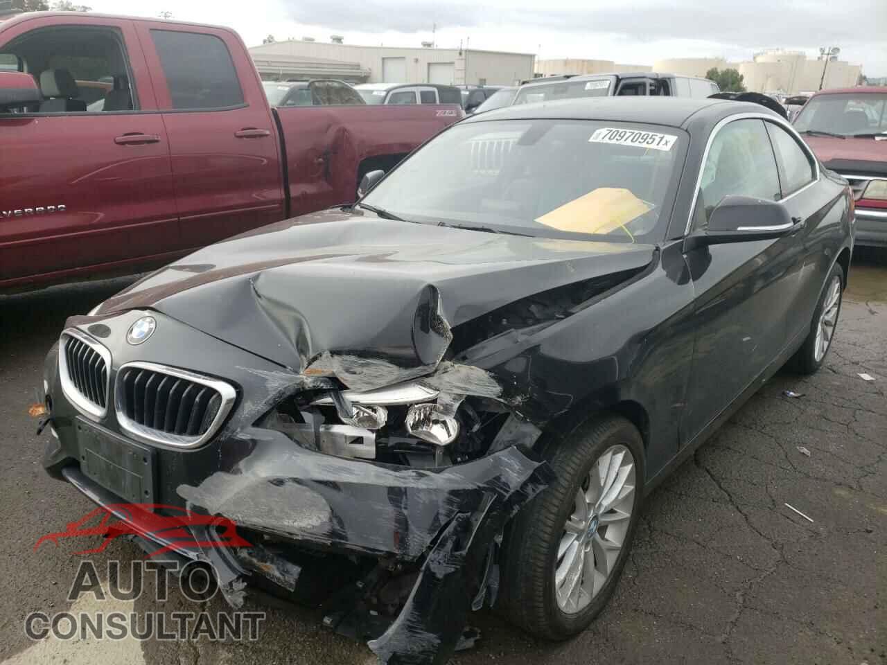 BMW 2 SERIES 2016 - WBA1F9C59GV545686