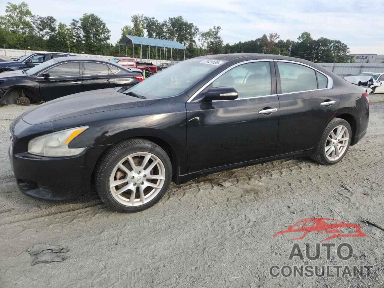NISSAN MAXIMA 2011 - 1N4AA5AP2BC852268