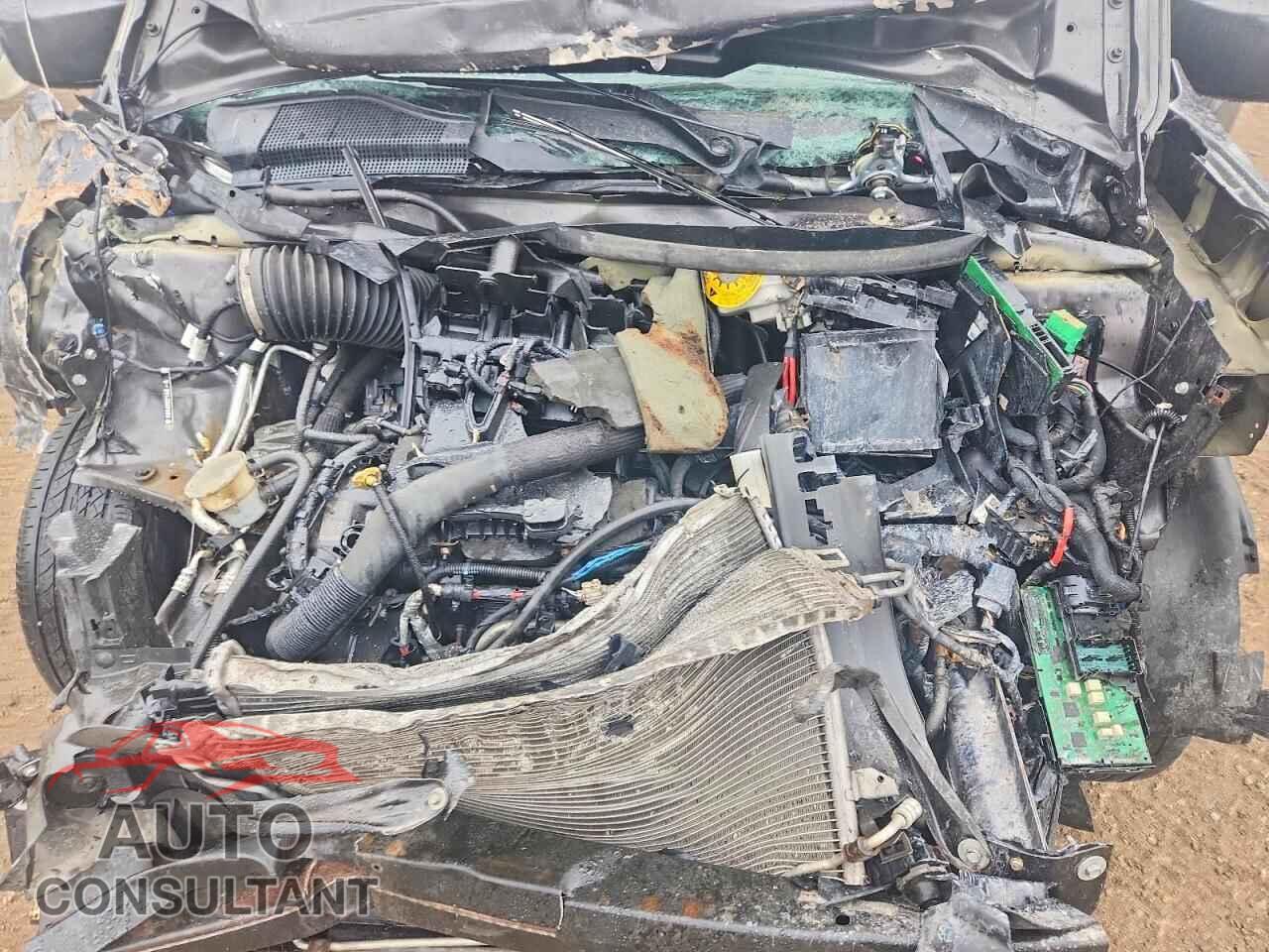 DODGE CARAVAN 2019 - 2C4RDGEG9KR677616