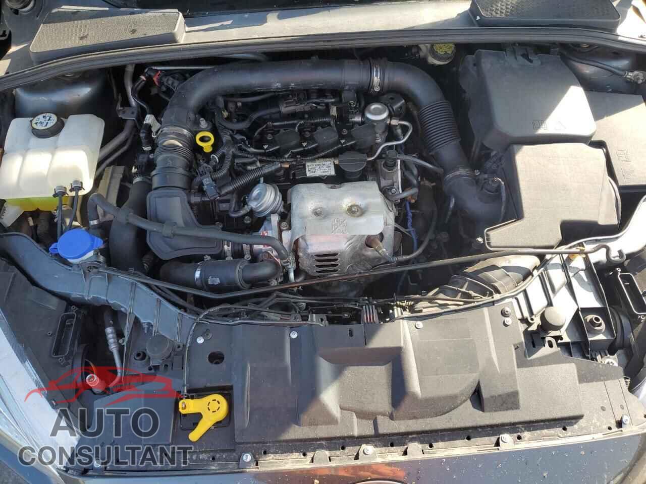 FORD FOCUS 2016 - 1FADP3FE8GL343588