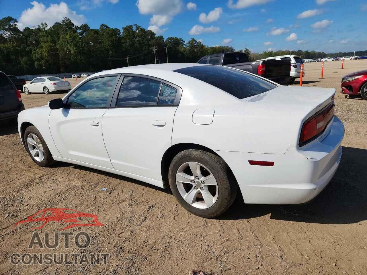 DODGE CHARGER 2014 - 2C3CDXBGXEH174542