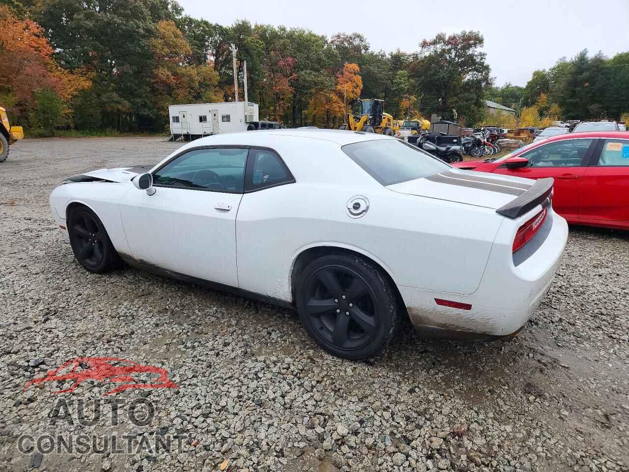 DODGE CHALLENGER 2012 - 2C3CDYBT5CH254282