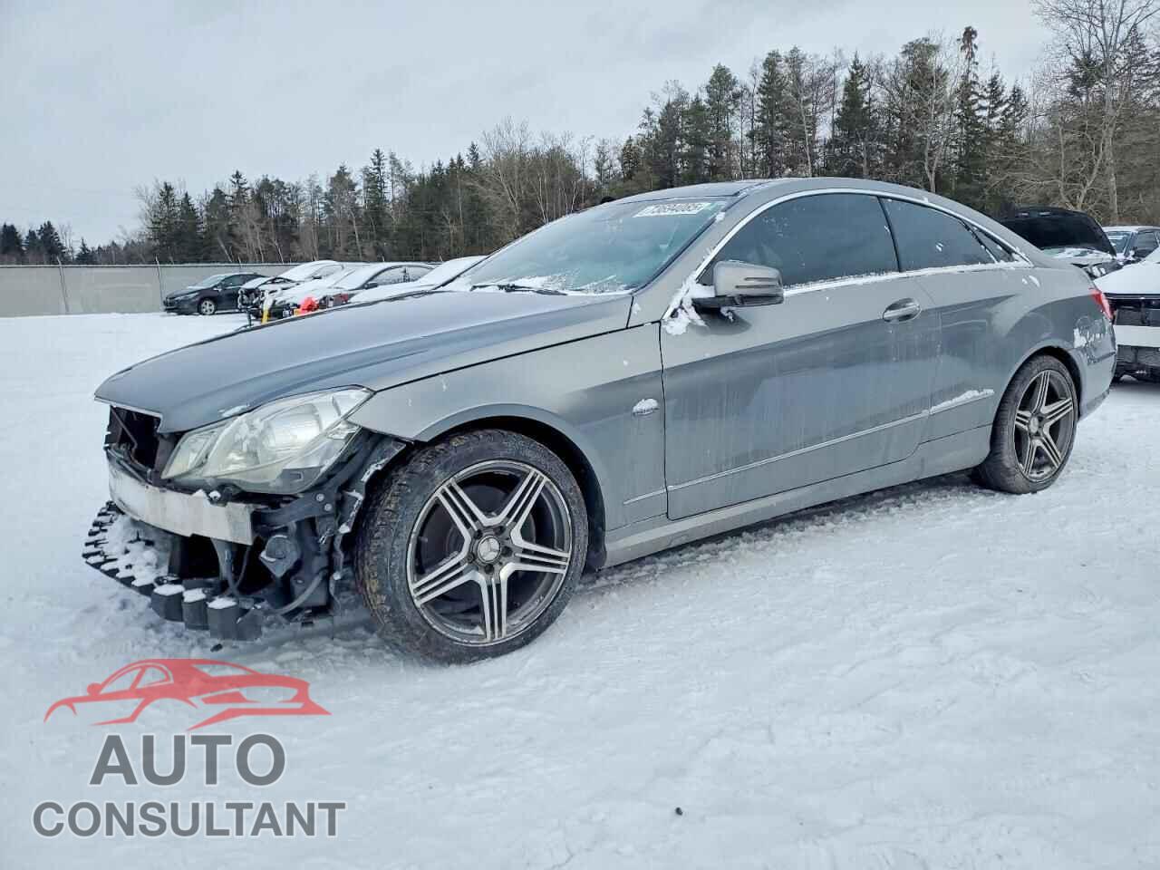 MERCEDES-BENZ E-CLASS 2012 - WDDKJ5KB0CF152000