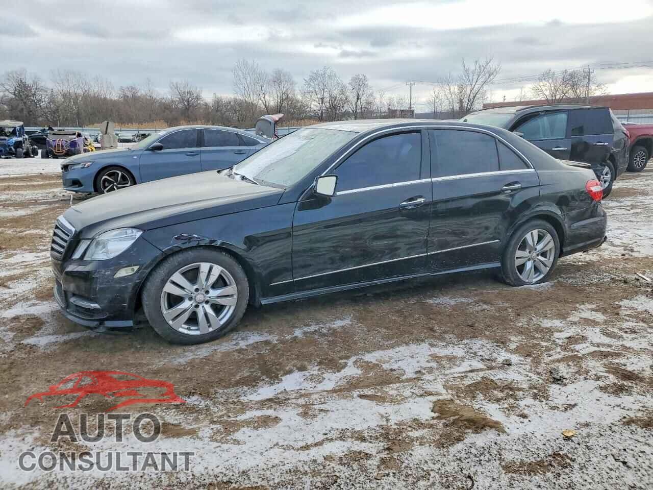 MERCEDES-BENZ E-CLASS 2013 - WDDHF9FB7DA738673