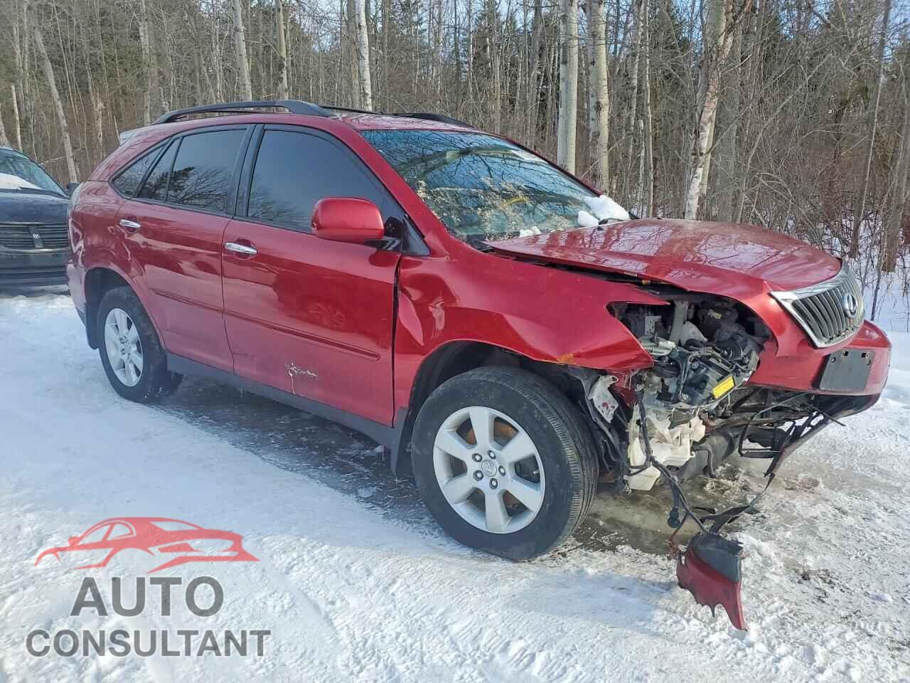 LEXUS RX350 2009 - JTJHK31U092053473