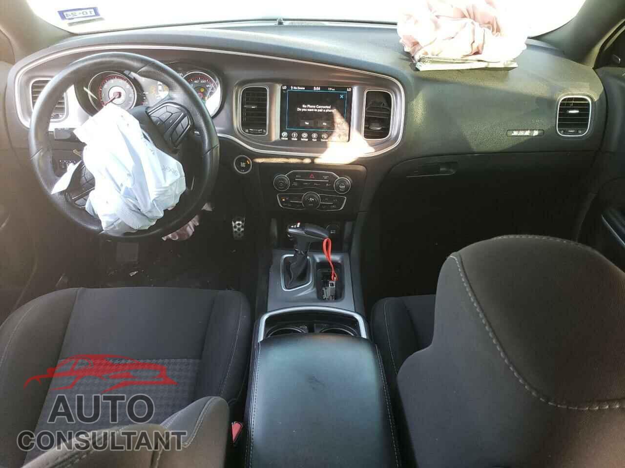 DODGE CHARGER 2020 - 2C3CDXGJ6LH244376