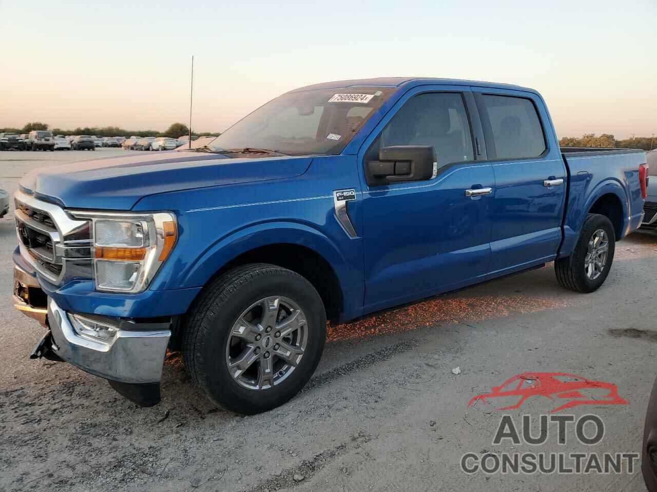 FORD F-150 2021 - 1FTEW1CP8MKD55060