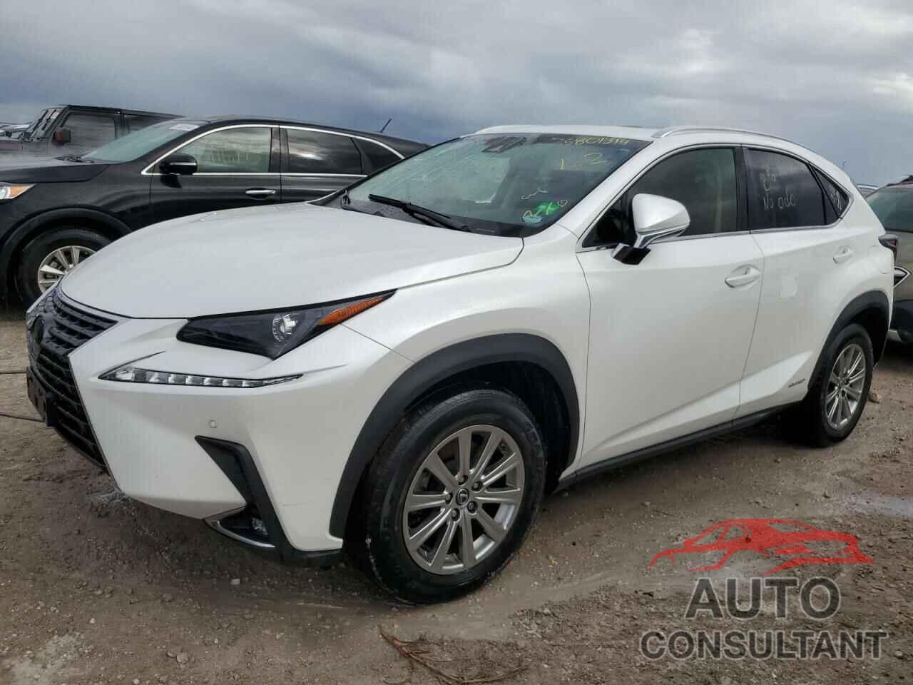 LEXUS NX 2019 - JTJBJRBZ0K2113327