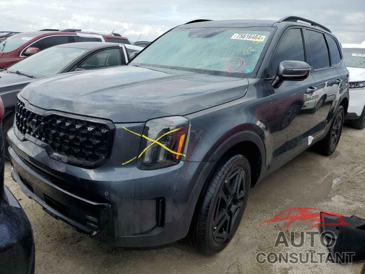 KIA TELLURIDE 2024 - 5XYP5DGC2RG529464