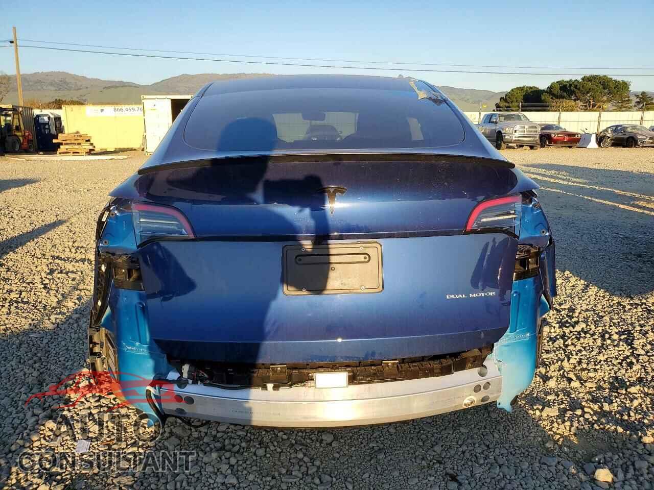 TESLA MODEL Y 2024 - 7SAYGAEE7RF059928