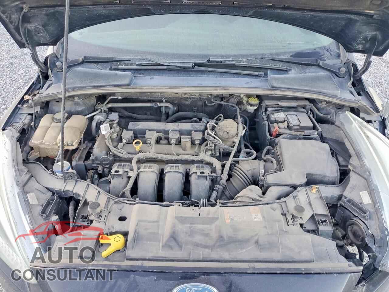 FORD FOCUS 2016 - 1FADP3F28GL245103