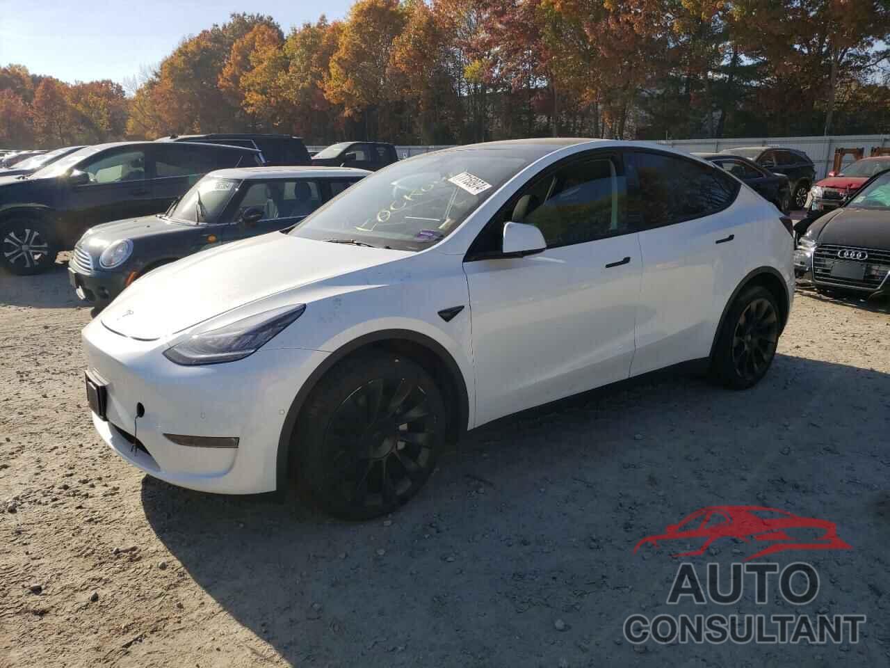 TESLA MODEL Y 2022 - 7SAYGDEE5NA017105