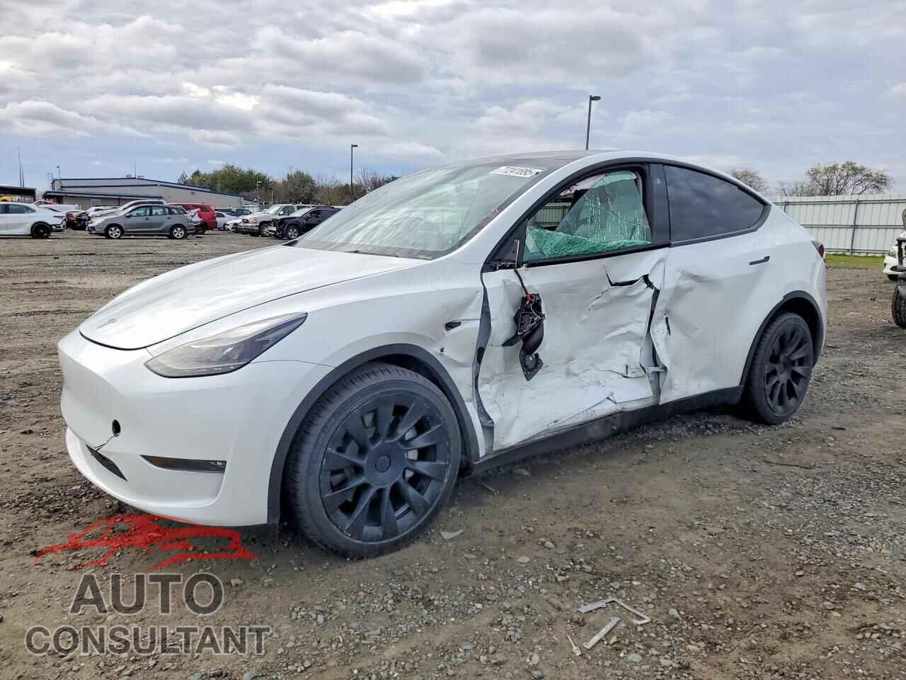 TESLA MODEL Y 2023 - 7SAYGDEE5PF627284