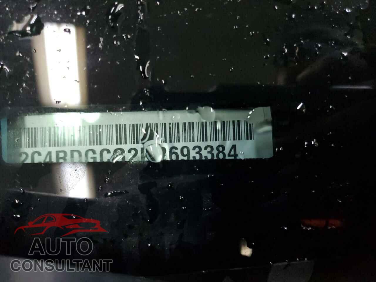 DODGE CARAVAN 2019 - 2C4RDGCG2KR693384