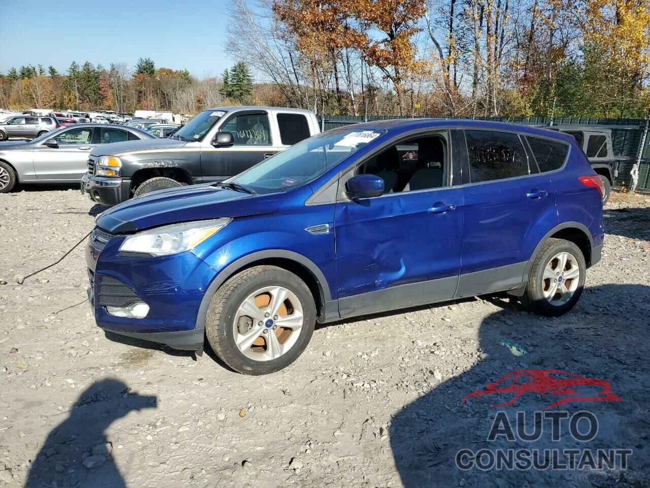 FORD ESCAPE 2014 - 1FMCU9G95EUC09384