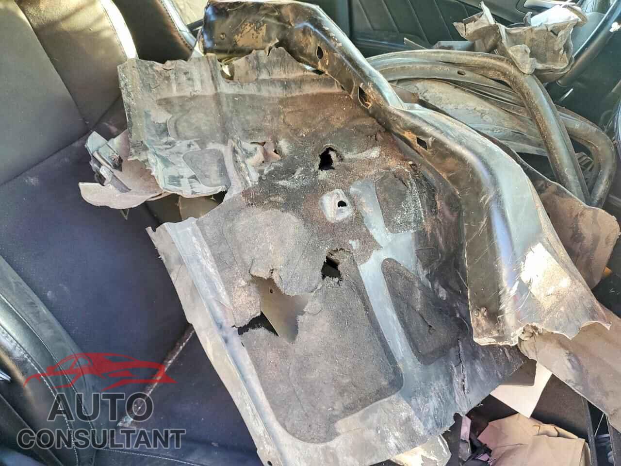 DODGE CHARGER 2019 - 2C3CDXCT0KH543156