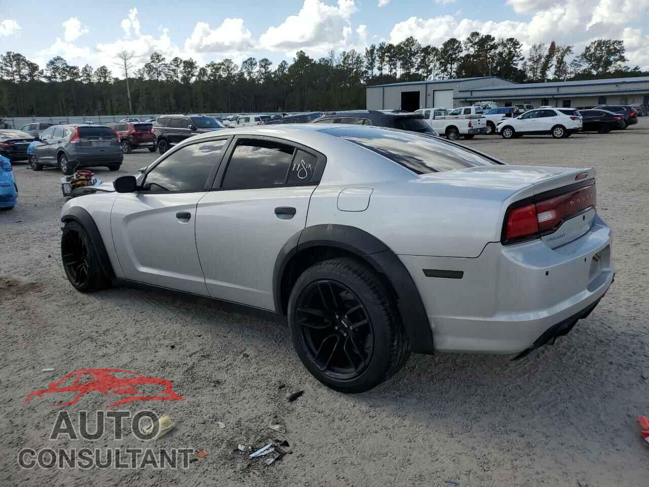 DODGE CHARGER 2013 - 2C3CDXAT3DH677116