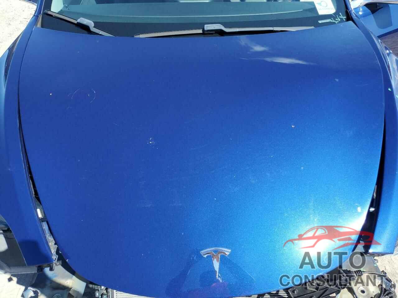 TESLA MODEL 3 2019 - 5YJ3E1EA3KF299252