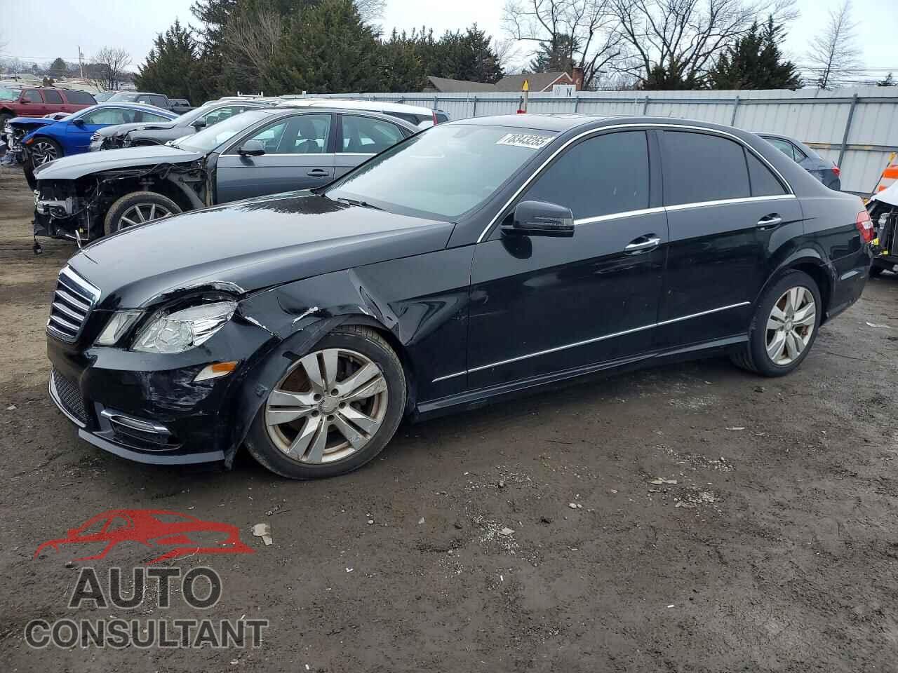 MERCEDES-BENZ E-CLASS 2013 - WDDHF9FBXDA737632