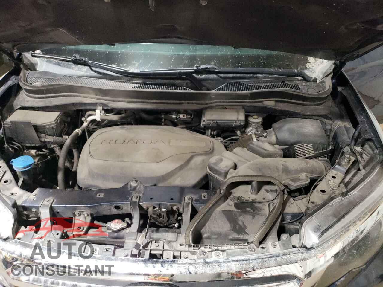 HONDA RIDGELINE 2019 - 5FPYK3F58KB020106