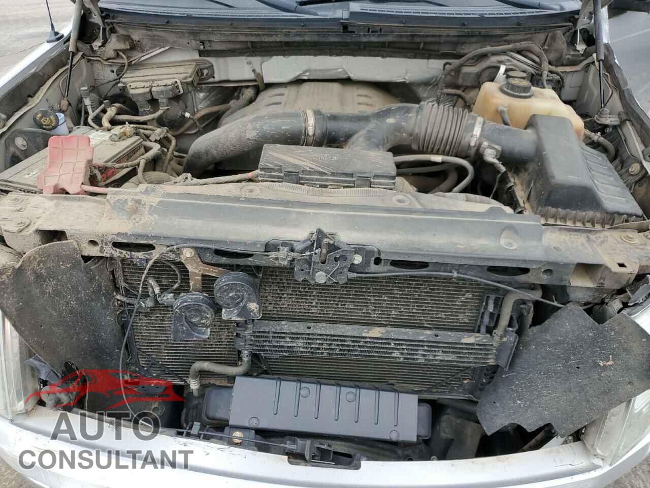 FORD F-150 2011 - 1FTFX1ET3BFB02407