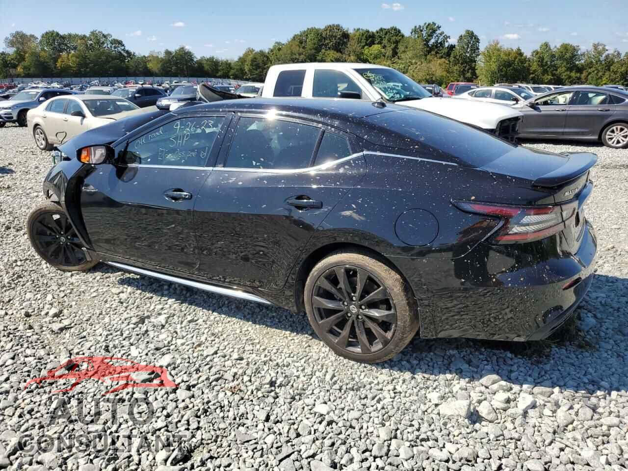 NISSAN MAXIMA 2019 - 1N4AA6AV4KC380787