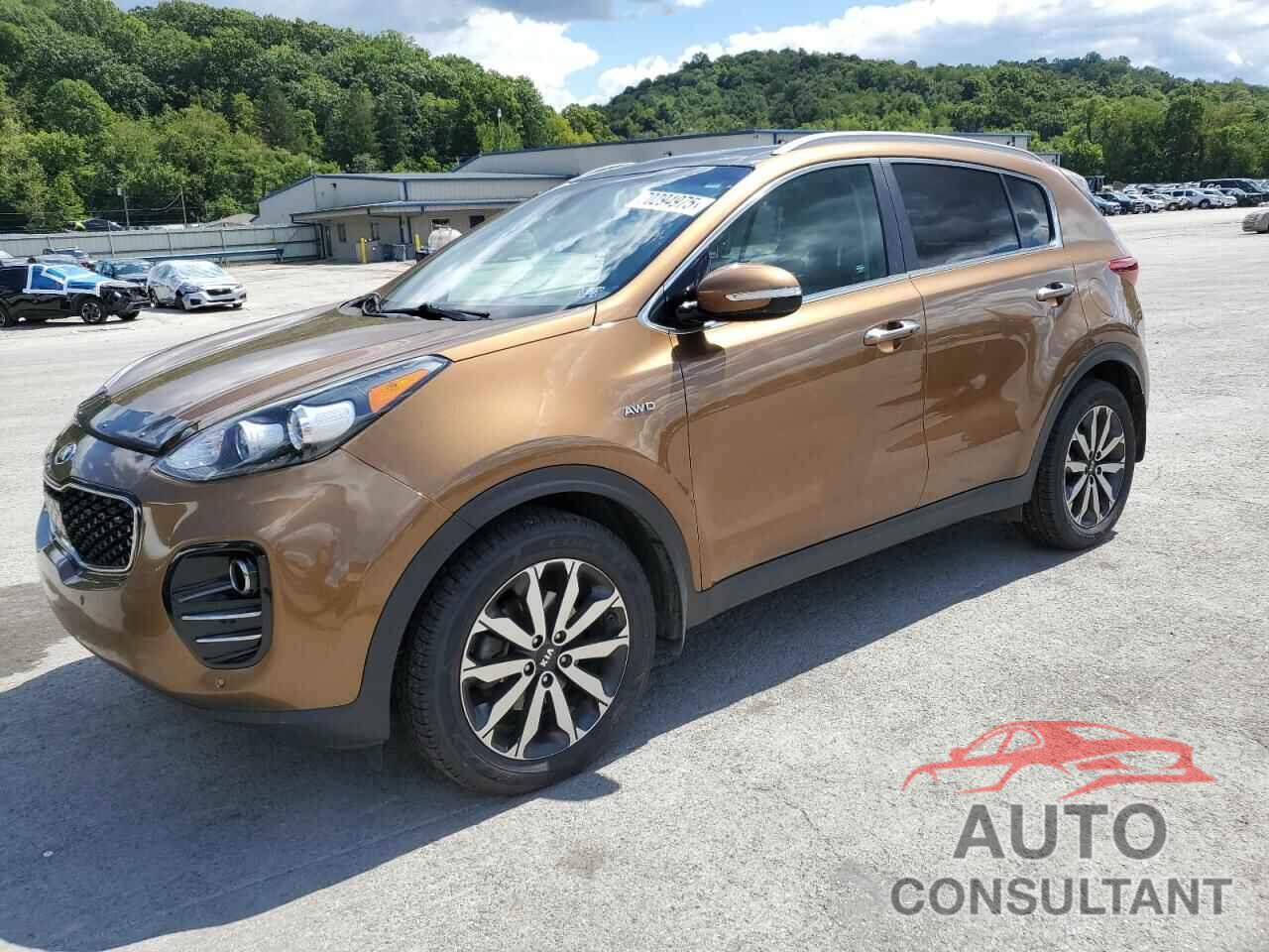 KIA SPORTAGE 2017 - KNDPNCAC8H7106421