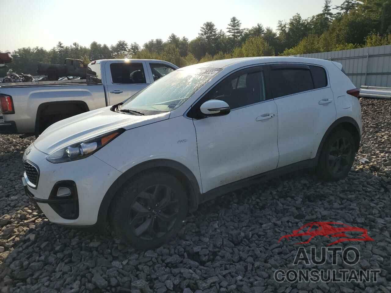 KIA SPORTAGE 2022 - KNDPMCAC4N7013748