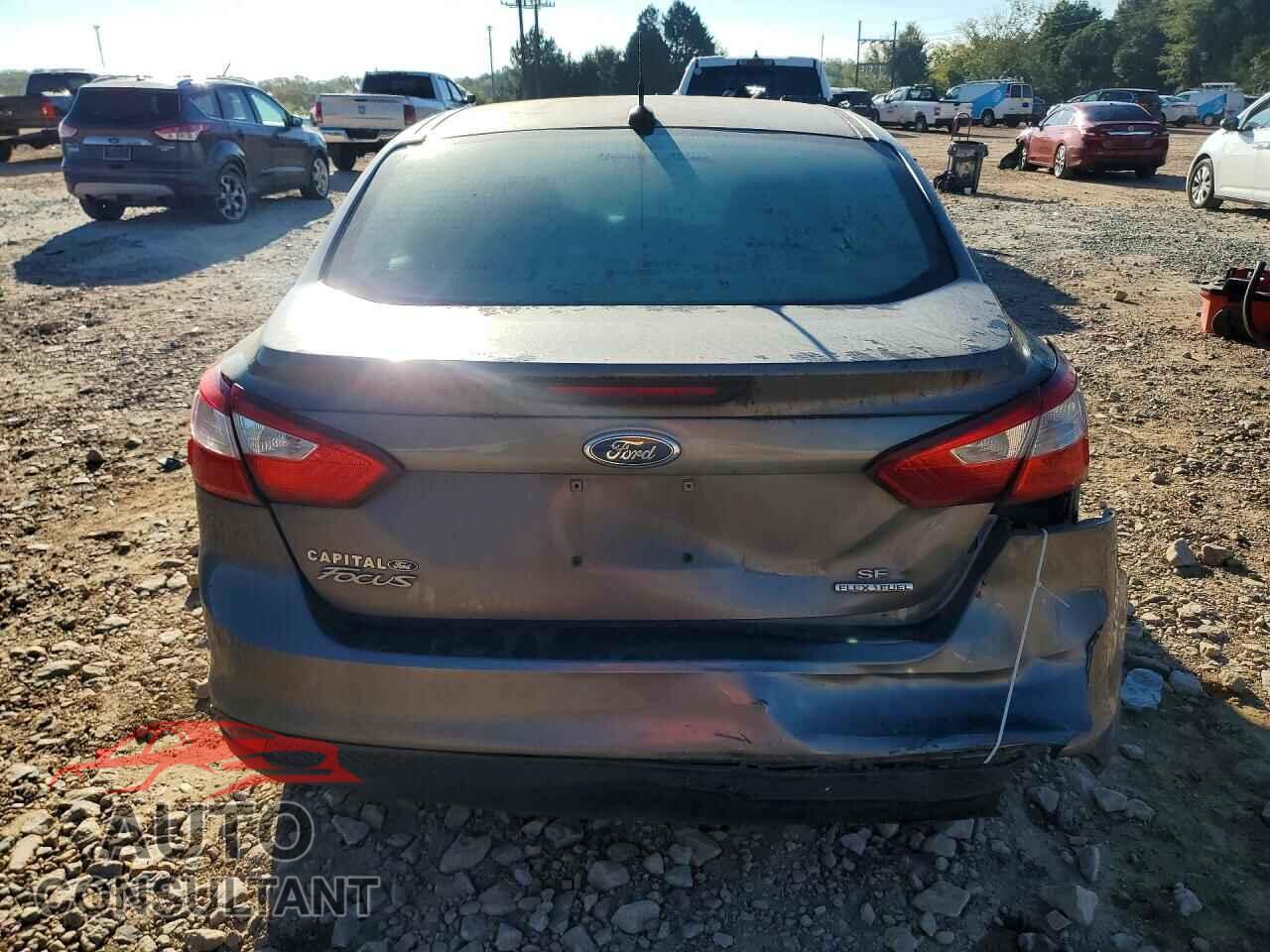 FORD FOCUS 2014 - 1FADP3F20EL221973
