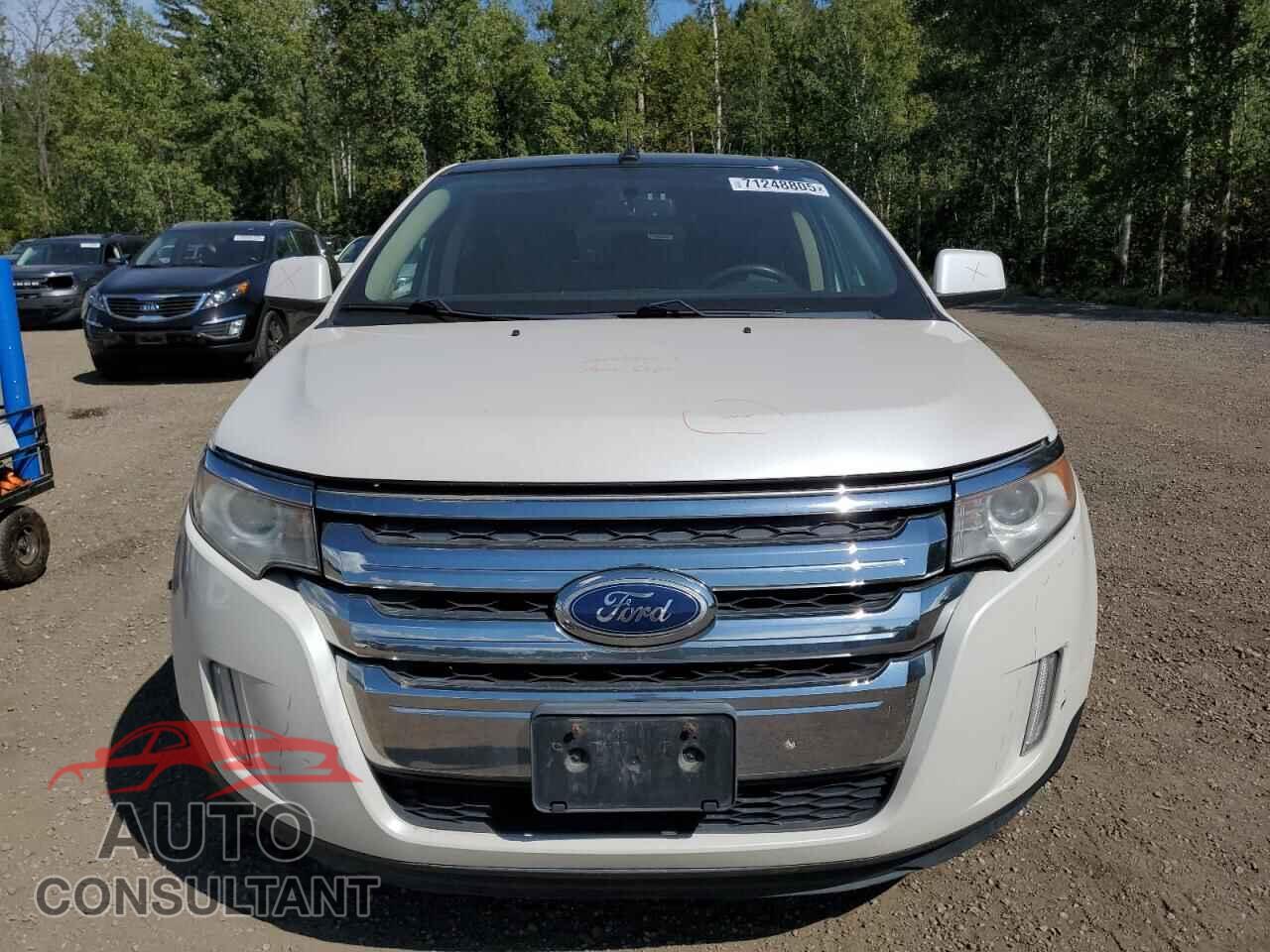 FORD EDGE 2011 - 2FMDK4KC9BBA66084
