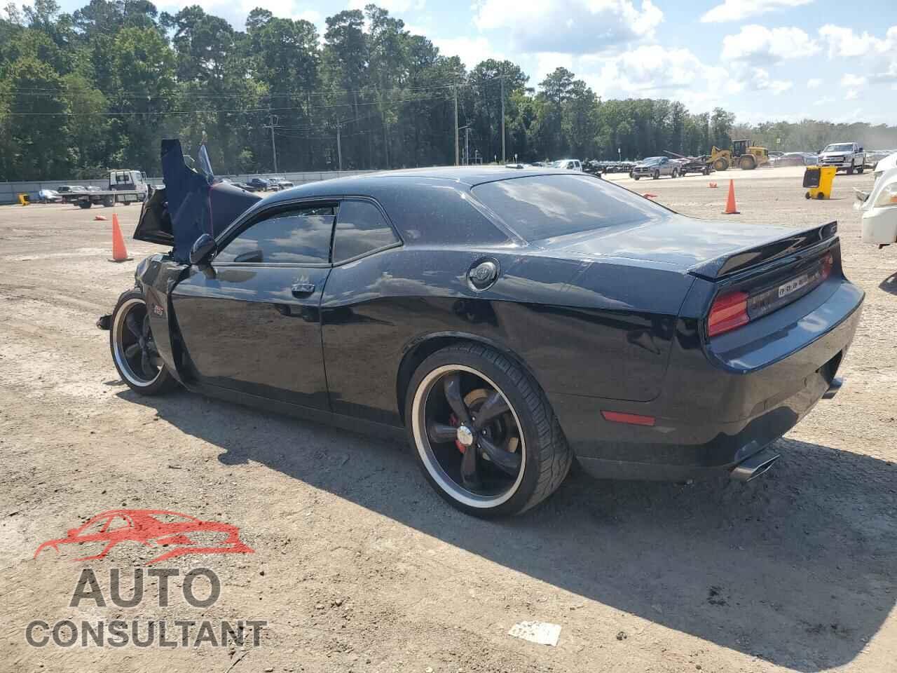 DODGE CHALLENGER 2013 - 2C3CDYCJ3DH666036