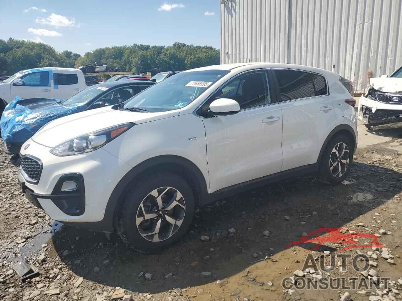 KIA SPORTAGE 2020 - KNDPMCAC4L7801829