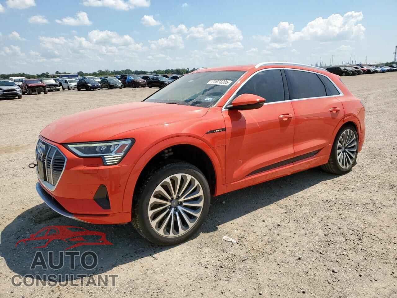 AUDI E-TRON 2019 - WA1VAAGE3KB021176