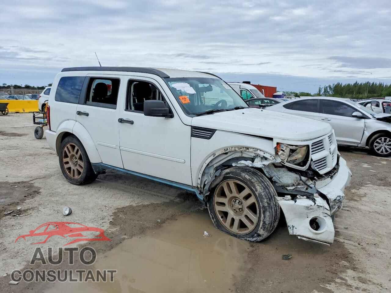 DODGE NITRO 2011 - 1D4PT4GK4BW541785