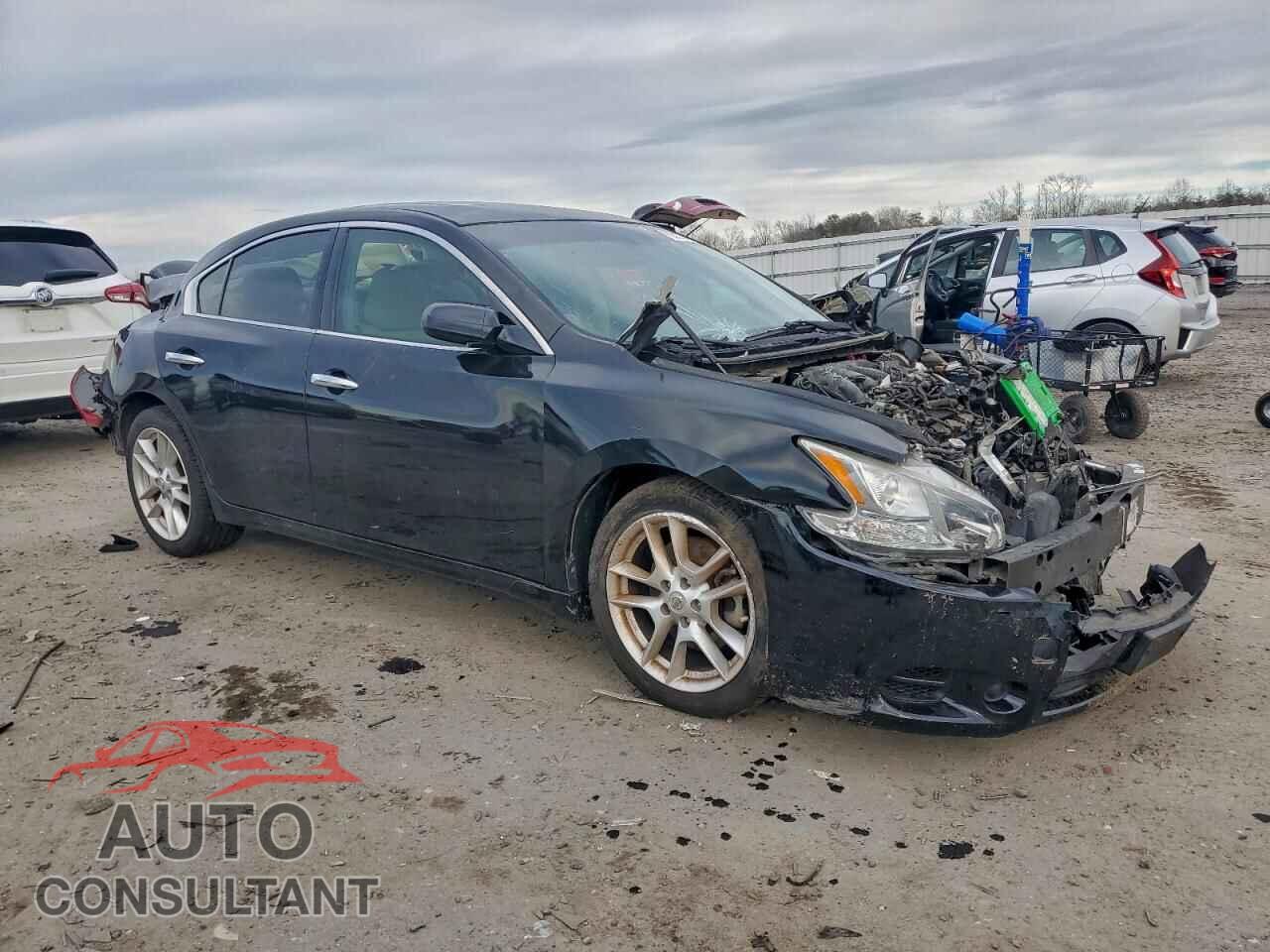 NISSAN MAXIMA 2010 - 1N4AA5APXAC808842