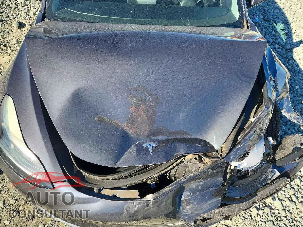 TESLA MODEL 3 2018 - 5YJ3E1EB3JF145731