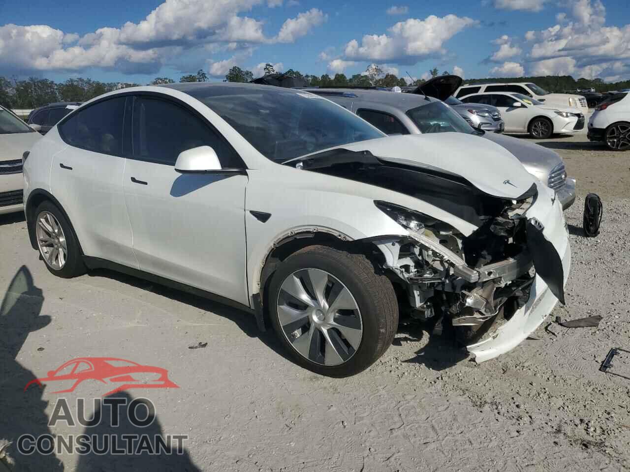 TESLA MODEL Y 2021 - 5YJYGDEE5MF081658