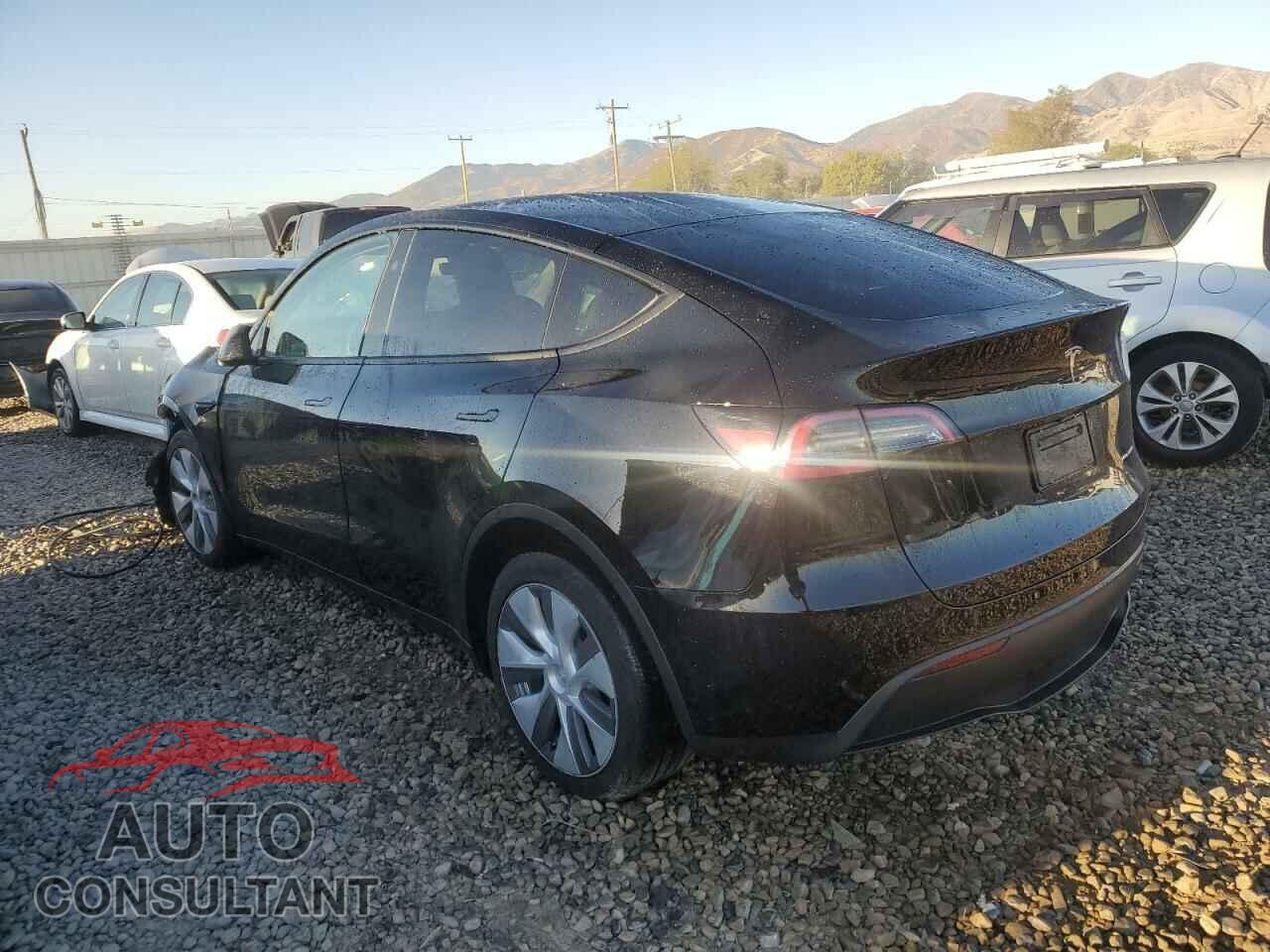 TESLA MODEL Y 2024 - 7SAYGAEE6RF071388