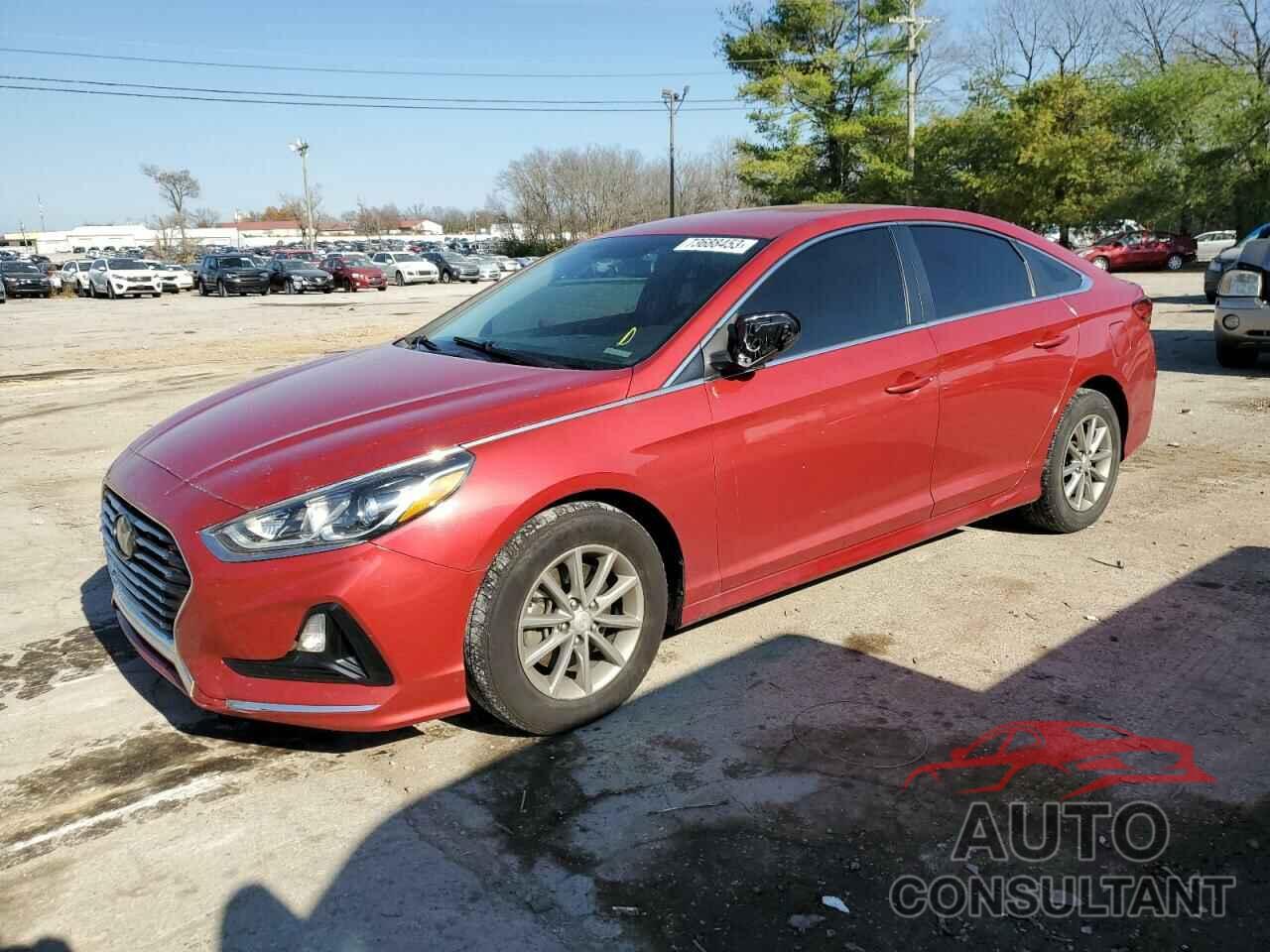 HYUNDAI SONATA 2019 - 5NPE24AF7KH779879