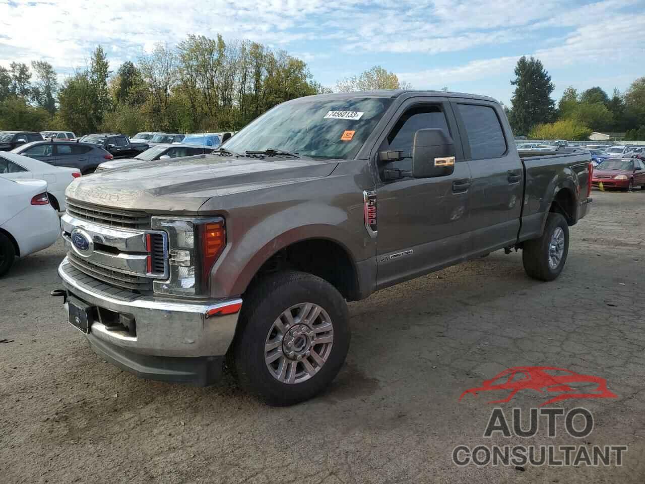 FORD F250 2019 - 1FT7W2BT2KEF65887