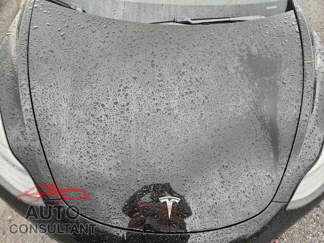 TESLA MODEL 3 2019 - 5YJ3E1EA1KF324570