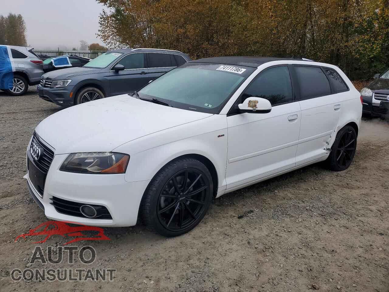 AUDI A3 2013 - WAUMFAFM5DA031399