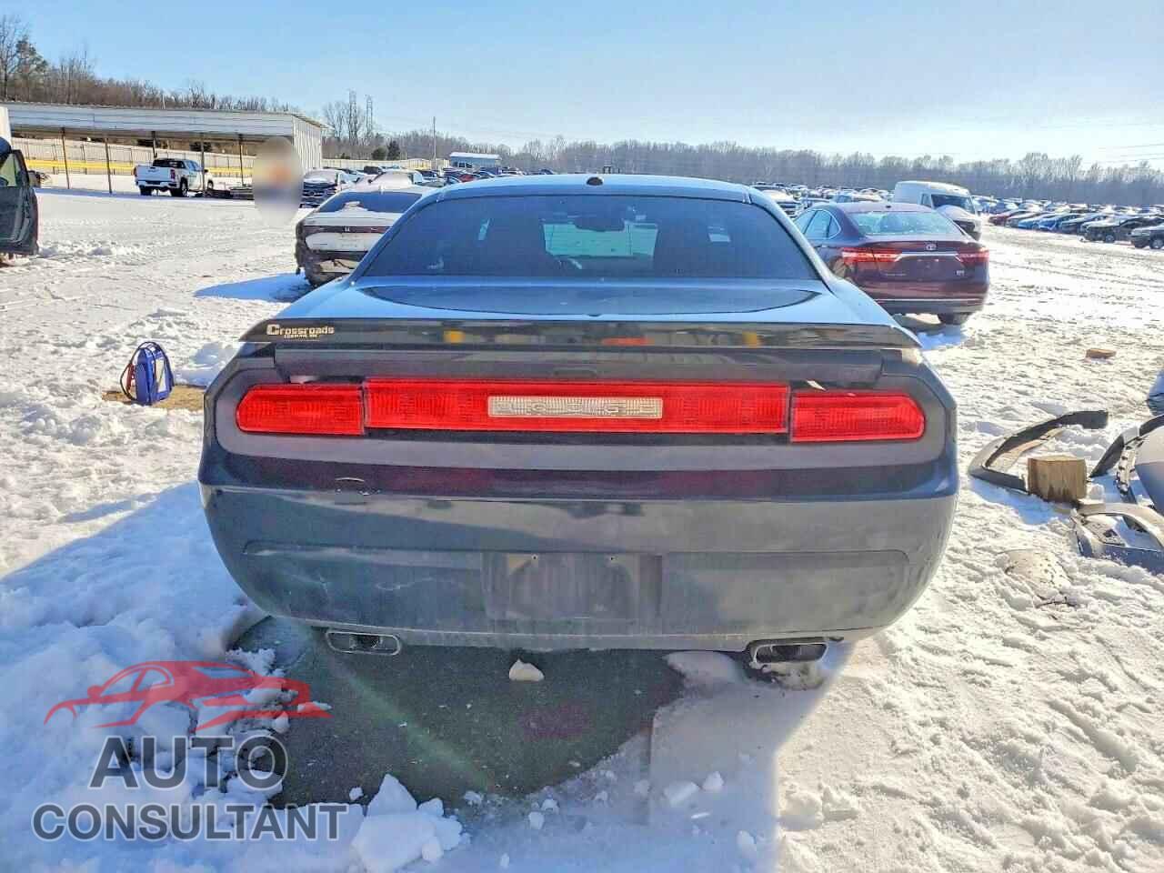 DODGE CHALLENGER 2013 - 2C3CDYAG3DH663225