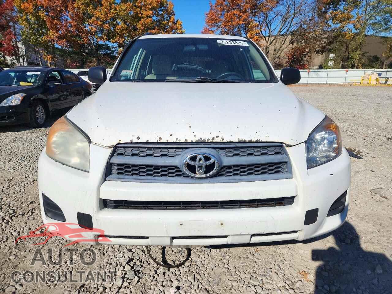 TOYOTA RAV4 2011 - 2T3BF4DV4BW133427