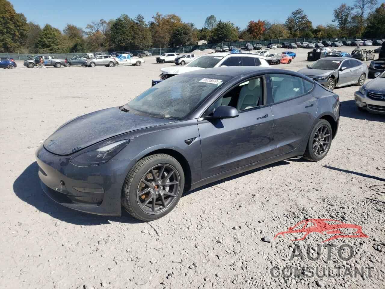 TESLA MODEL 3 2021 - 5YJ3E1EB9MF903060